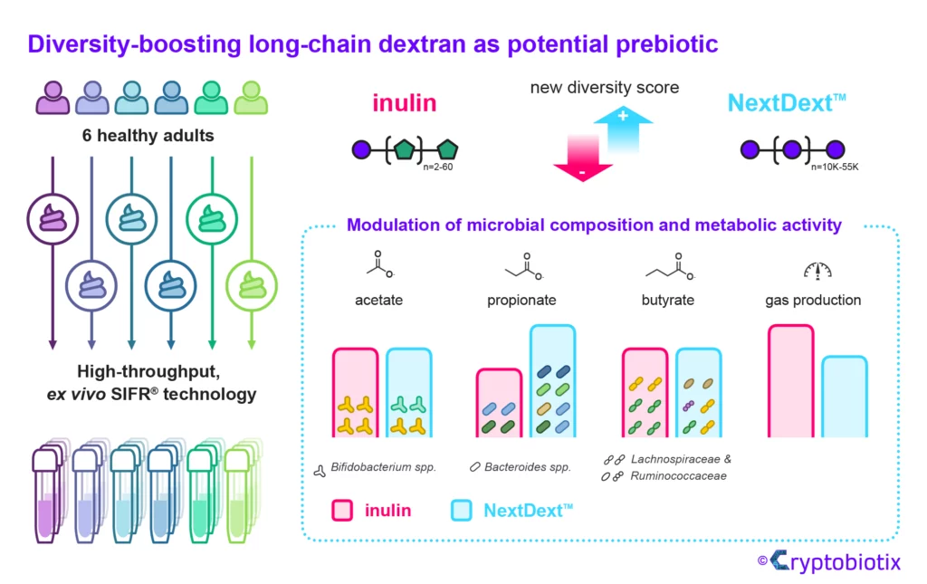 Long-chain dextran boosts diversity